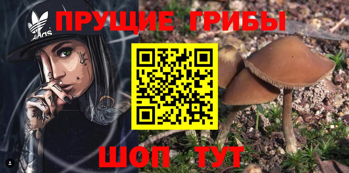Сальск  Галлюциногенные грибы ЛСД  Вход с VPN  Галлюциногенные грибы Cubensis 